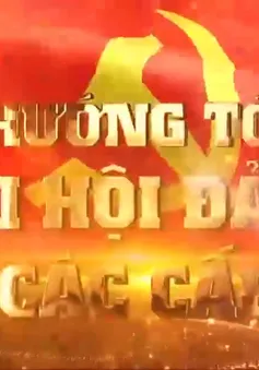 Chuyên mục "Hướng tới Đại hội Đảng các cấp" (11/5/2025)