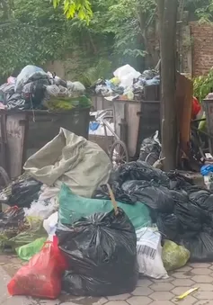Thanh Hóa oằn mình trước gánh nặng rác thải