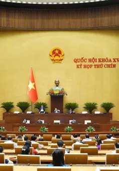 Ngày 15/5, Quốc hội thảo luận về dự án Luật Năng lượng nguyên tử (sửa đổi)
