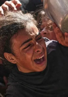 Gaza đối mặt nạn đói nghiêm trọng giữa vòng xoáy phong tỏa và xung đột
