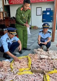 Phát hiện, thu giữ 500kg chân gà, đuôi lợn không rõ nguồn gốc