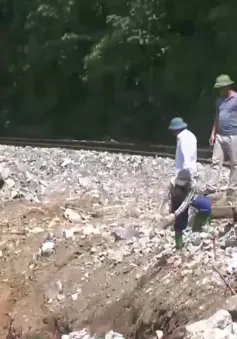 Triển khai các nhiệm vụ để khởi công xây dựng đường sắt Lào Cai - Hà Nội - Hải Phòng