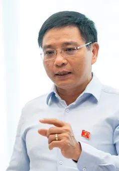 Nếu ưu ái hộ kinh doanh, doanh nghiệp nhỏ và vừa sẽ không muốn lớn
