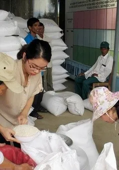 Xuất cấp gạo cho tỉnh Cao Bằng dịp giáp hạt đầu năm 2025