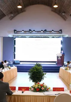 Các nghiên cứu mới về Sâm Ngọc Linh - Thành tựu và ứng dụng