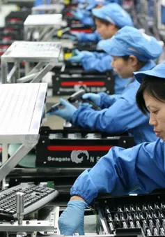 Tăng cảnh báo sớm: Lá chắn bảo vệ hàng xuất khẩu