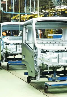 Nhật Bản đẩy nhanh đàm phán thương mại với Mỹ