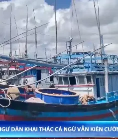 Ngư dân khai thác cá ngừ kiên cường bám biển