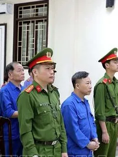 Không chấp nhận kháng cáo của bị cáo Lê Thanh Vân và Nguyễn Văn Vương