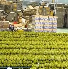 Sầu riêng rớt giá mạnh