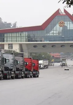 Thúc đẩy vận tải đường bộ giữa Việt Nam - Trung Quốc