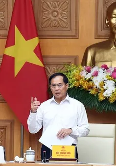 Phó Thủ tướng Bùi Thanh Sơn: Phải kiểm tra ngay khi người dân phản ánh có sản xuất, tiêu thụ hàng giả