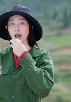 Khởi tố hoa hậu Nguyễn Thúc Thùy Tiên