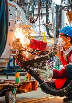 Đến năm 2030, kinh tế tư nhân đóng góp gần 60% GDP
