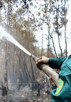 Cà Mau có hơn 36.000 ha rừng nguy cơ xảy ra cháy