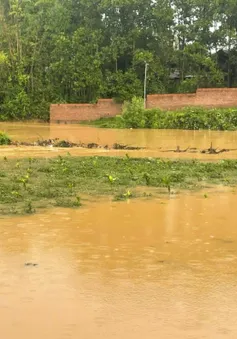 Mưa xối xả 2 ngày ở Thái Nguyên, lúa, hoa màu ngập úng, trường học tốc mái