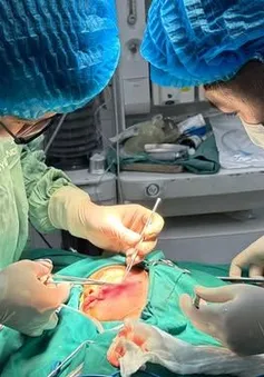 Bé trai ở Tuyên Quang bị chó cắn rách mặt, nhập viện khẩn cấp