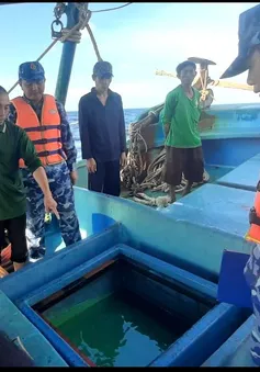 Bắt giữ tàu cá vận chuyển 60.000 lít DO lậu trên biển