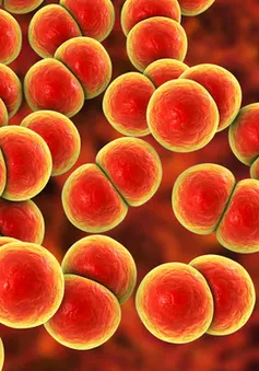 Anh triển khai vaccine phòng bệnh lậu đầu tiên trên thế giới
