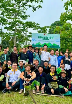 “Rừng cây tử tế’ - Hơn 10.000 cây xanh được ươm lên bởi lòng tốt