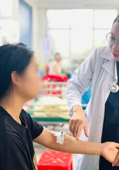 Cô gái nguy kịch do bị ong bắp cày đốt