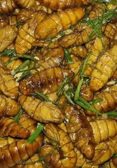 Sốc phản vệ nặng sau khi ăn nhộng tằm