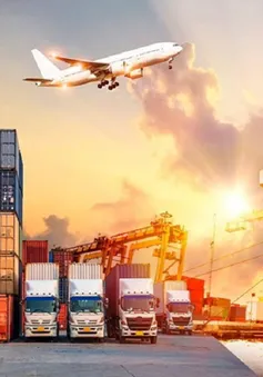 EU xem xét áp phí cố định cho kiện hàng giá trị thấp nhập khẩu