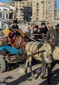 Israel ban bố cảnh báo sơ tán tại miền Bắc Dải Gaza
