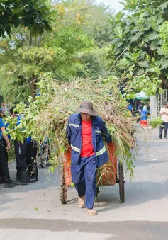 Tuổi trẻ TP Hồ Chí Minh ra quân hưởng ứng Ngày Môi trường Thế giới 2025