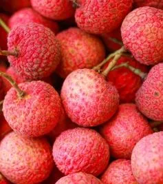 Mở rộng kết nối tiêu thụ vải thiều