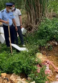 Nghệ An: Thành lập tổ công tác, mở đợt cao điểm chống buôn lậu, hàng giả