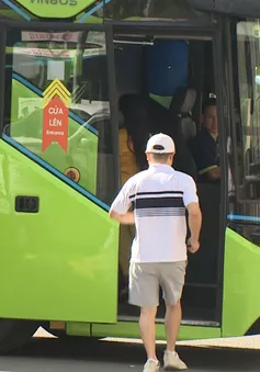 TP Hồ Chí Minh thúc đẩy giao thông xanh, xây dựng đô thị bền vững