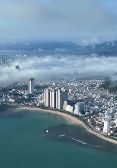 Khánh Hòa: Rạn san hô Hòn Chồng đang phục hồi
