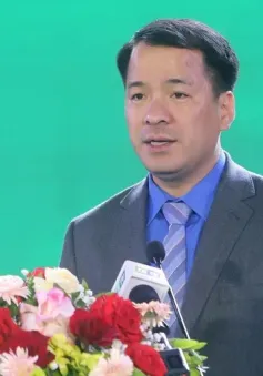 Điều động, phân công Phó Bí thư chuyên trách Đảng ủy Mặt trận Tổ quốc, các đoàn thể trung ương
