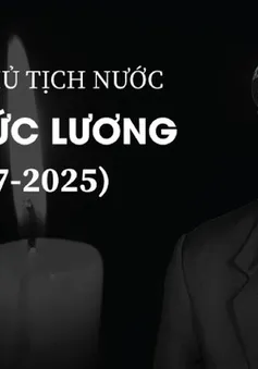 Đồng chí Trần Đức Lương - Nhà lãnh đạo có nhiều đóng góp quan trọng cho sự nghiệp đổi mới, phát triển đất nước và bảo vệ Tổ quốc