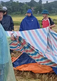 3 người tử vong do sét đánh chỉ trong 2 ngày