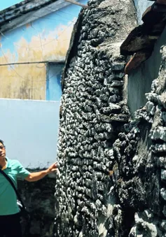Độc đáo nhà san hô