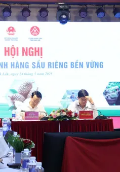 Xây dựng thị trường sầu riêng để xuất khẩu bền vững