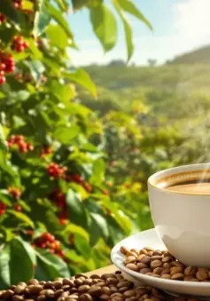 Nơi mang “linh hồn” của cà phê thế giới