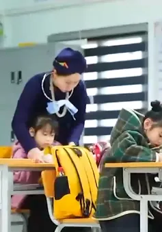 Vì sao không nên kiểm định trường mầm non, phổ thông qua tổ chức kiểm định?
