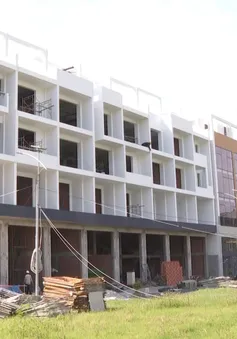 Nghiên cứu đánh thuế đất bỏ hoang, dự án chậm triển khai