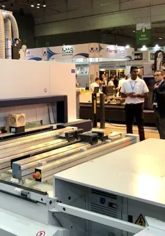 Thu hồi quyền cấp C/O: Đảm bảo quy trình, chuẩn dữ liệu, tránh rủi ro