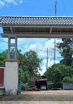 Nhiều cán bộ kiểm lâm, bảo vệ rừng bị hành hung, 1 phó giám đốc gãy xương sườn