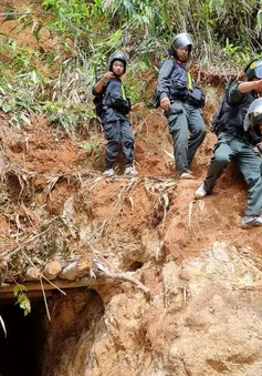 Gia Lai: Vàng tặc phá nát cánh rừng Đăk Sơ Mei