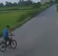 Tránh người đi xe đạp sang đường, xe tải lao xuống ruộng
