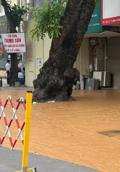 Bùn đất phun trào trên phố Cát Linh (Hà Nội)