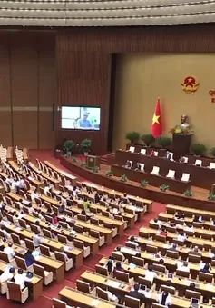 Đề xuất bổ sung tội sử dụng trái phép chất ma túy