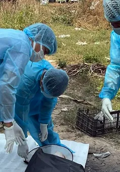Đồng Nai: Chủ động phòng dịch, ngăn ngừa bùng phát bệnh truyền nhiễm
