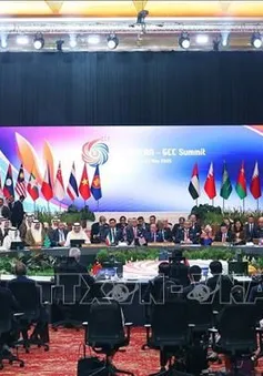 Khai mạc Hội nghị cấp cao ASEAN - Hội đồng Hợp tác Vùng Vịnh