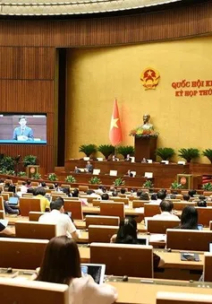 Ngày 29/5, Quốc hội thảo luận về dự án Luật sửa đổi, bổ sung một số điều của Luật Quốc tịch Việt Nam